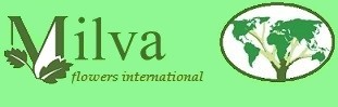 MilvaFlowers